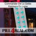 Commander De La Gelée Kamagra En Ligne 28